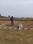 East Park Premium Township  Plot View 2