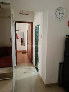 Hall Image of 450 Sq.ft 1 BHK Apartment / Flat for rent in DB Ozone, Dahisar East Mumbai for Rs. 26000