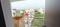 Balcony Image of One square  in Semmancheri, Chennai
