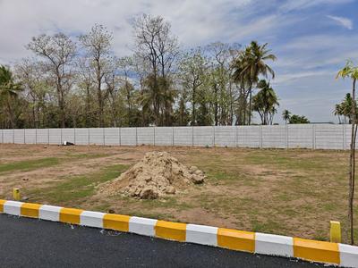 Madanapuram Plot View 2
