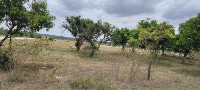 Image of 9809 Sq.ft Residential Plot / Land for sale in Kolar Town, Kolar for Rs. 5885400