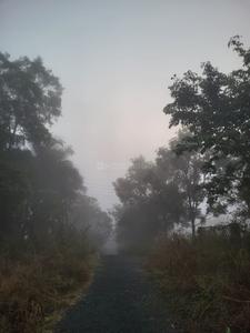 Image of 2500 Sq.ft Residential Plot / Land for sale in Wada, Mumbai for Rs. 800000