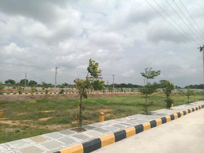 IDA Plot View 2