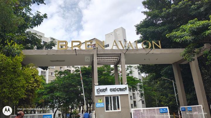 Bren Avalon  MARTAHALLI Main Image 1
