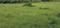 Owner  Plot View 2