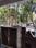 Balcony Image of superior pg in GTB Nagar, New Delhi