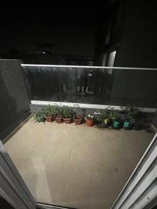 Balcony Image of 760 Sq.ft 1 BHK Apartment / Flat for sale in Badhekar Mayura, Kothrud Pune for Rs. 8800000