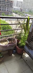 Balcony Image of Hariom PG in Raj Nagar Extension, Ghaziabad