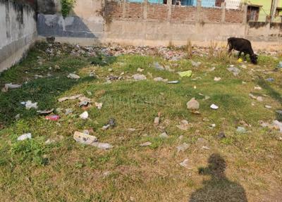RPS More More Images 2