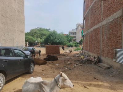 HBH Colony Plot View 2