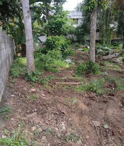 Image of 17800 Sq.ft Residential Plot / Land for sale in Chengannur, Alappuzha for Rs. 28000000