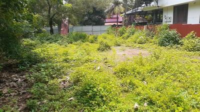 Residential Plot