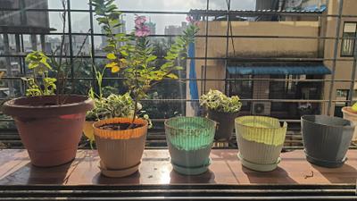 Image of 650 Sq.ft 1 BHK Apartment / Flat for rent in Neelkanth Bliss, Kalamboli, Navi Mumbai for Rs. 15000