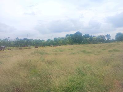 Tukkuguda Plot View 2