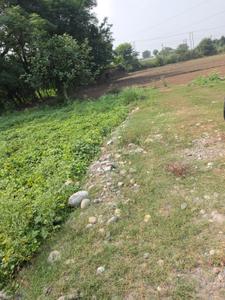 Image of 1361 Sq.ft Residential Plot / Land for sale in Mishriwala, Jammu for Rs. 1900000