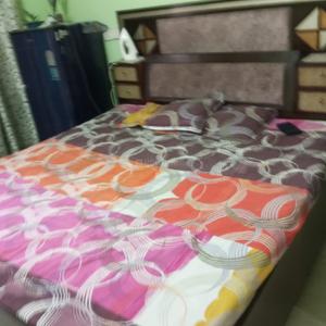 Bedroom Image of 1800 Sq.ft 2 BHK Apartment / Flat for rent in GBM Shiva Enclave, Aujala Mohali for Rs. 20000