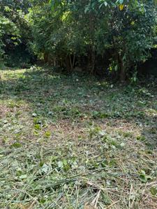 Image of 4356 Sq.ft Residential Plot / Land for sale in Velappaya, Killannur, Thrissur for Rs. 5750000