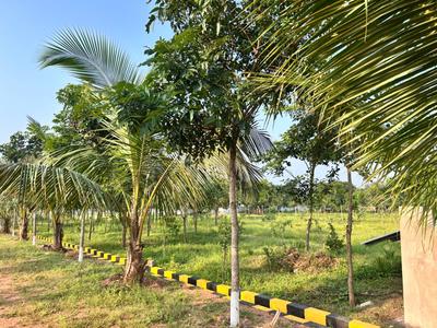 Image of 111 Sq.ft Residential Plot / Land for sale in Kothavalasa, Visakhapatnam for Rs. 666000