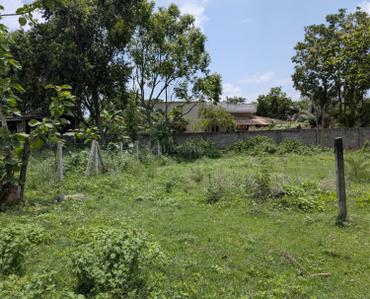 Image of 1440 Sq.ft Residential Plot / Land for sale in K. Kotapadu, Visakhapatnam for Rs. 2400000