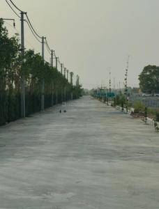 Residential Plot