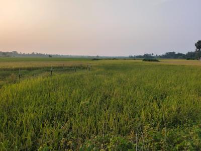 Image of 720 Sq.ft Residential Plot / Land for sale in New Town, Kolkata for Rs. 1200000