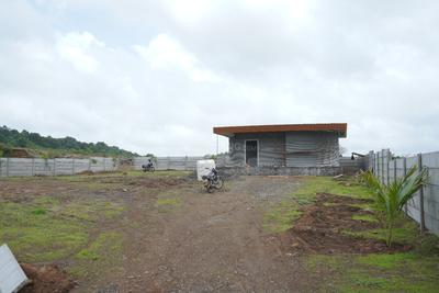 Image of 13753 Sq.ft Residential Plot / Land for sale in Pahine, Nashik for Rs. 5700000
