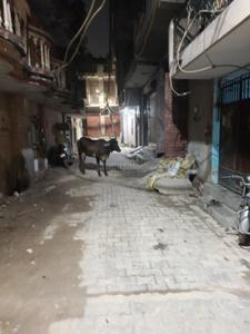 Image of 950 Sq.ft 3 BHK Builder Floor for sale in Aya Nagar, New Delhi for Rs. 6500000