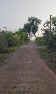Farm plots Plot View 1