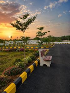 Residential Plot