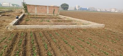 Image of 1200 Sq.ft Residential Plot / Land for sale in Ranipur, Patna for Rs. 5200000