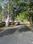 Jacaranda Estate Main Image 1