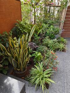 Image of 3500 Sq.ft 4 BHK Apartment / Flat for sale in Kolte Patil 24K Glitterati, Pimple Nilakh, Pune for Rs. 70000000