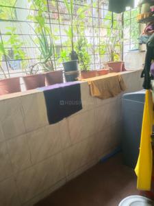 Balcony Image of 585 Sq.ft 1 BHK Apartment / Flat for sale in Narhe Pune for Rs. 3700000