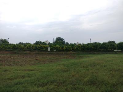 Image of 150 Sq.ft Residential Plot / Land for sale in Mansha Oaks, Sector 98, Faridabad for Rs. 19500000
