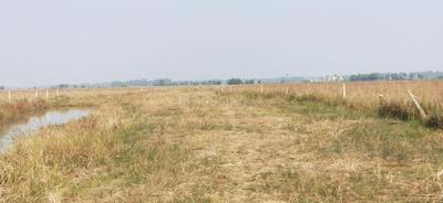 Image of 1300 Sq.ft Residential Plot / Land for sale in Atharanala, Puri for Rs. 1300000