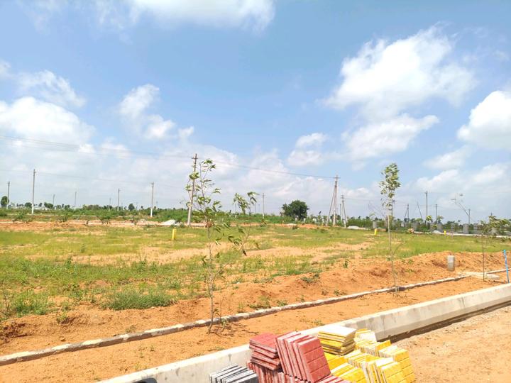 MS Developers Main Image 1