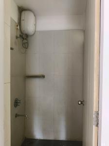 Common Bathroom Image of 780 Sq.ft 1 BHK Apartment / Flat for rent in Casa Rio Viva, Palava Phase 1 Thane for Rs. 16000