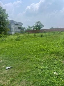 Jeevan Nagar Plot View 2