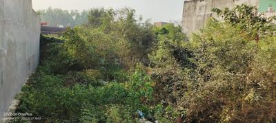 Residential Plot