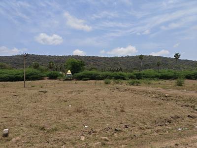 Residential Plot