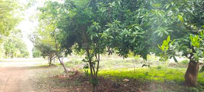 Image of 7000 Sq.ft Residential Plot / Land for sale in Vengal, Chennai for Rs. 2400000