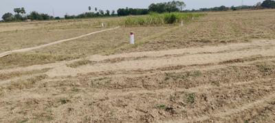 Image of 1000 Sq.ft Residential Plot / Land for sale in Naubatpur, Patna for Rs. 749000