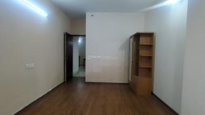 Bedroom Image of 800 Sq.ft 2 BHK Apartment / Flat for rent in Amrapali Dream Valley 2, Noida Extension Greater Noida for Rs. 18000