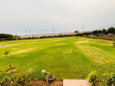 Dera mandi road chattarpur Plot View 2