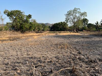 Image of 32670 Sq.ft Residential Plot / Land for sale in Veshvi, Alibag for Rs. 30000000