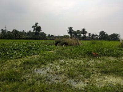 Image of 1440 Sq.ft Residential Plot / Land for sale in Wander Valley, Joka, Kolkata for Rs. 600000
