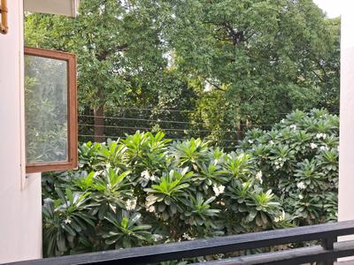 Dining Area Image of 1200 Sq.ft 2 BHK Independent House for rent in Sector 47 Noida for Rs. 24500