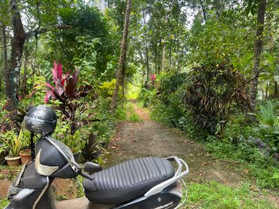 Image of 1800 Sq.ft 4 BHK Independent House for rent in Karakkunnathu, Kozhikode for Rs. 10000