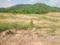 Golden hills Main Image 1