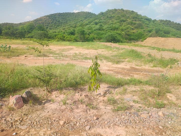 Golden hills Main Image 1